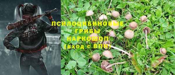 бутират Бородино